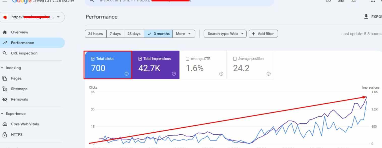 E-commerce SEO Case Study: Camlor Organics